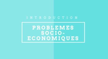 problèmes économique et sociaux S3 - résumé