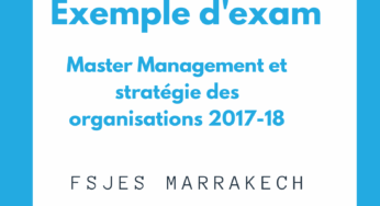Master management et stratégie des organisations marrakech